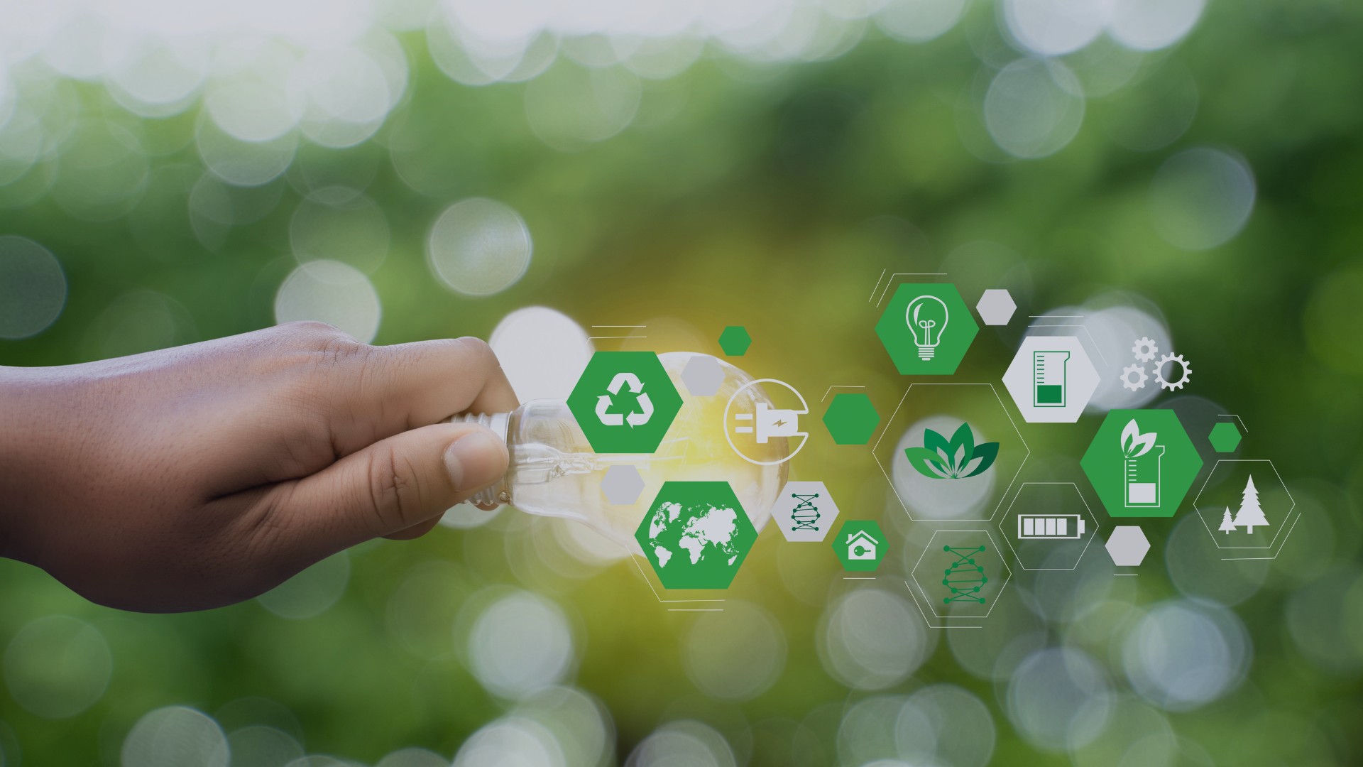 Formação Modular Certificada: Ambiente
